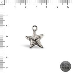 Estrella de Mar chica