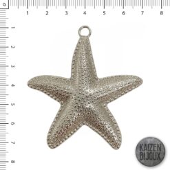 Estrella de mar 60mm