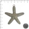 Estrella de Mar Rugosa