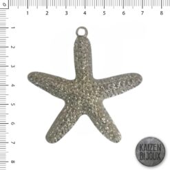 Estrella de Mar Rugosa