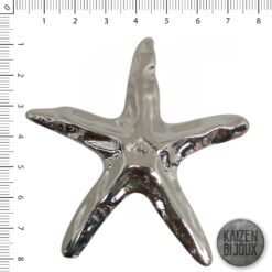 Estrella de Mar martillada Gigante