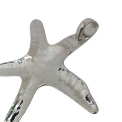 Alternative view of Estrella de Mar martillada Gigante