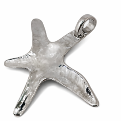 Alternative view of Estrella de Mar martillada Gigante