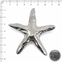 Estrella de Mar martillada Gigante