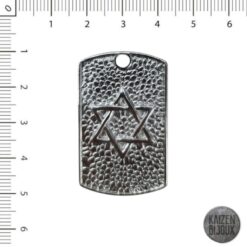 Medalla Estrella de David